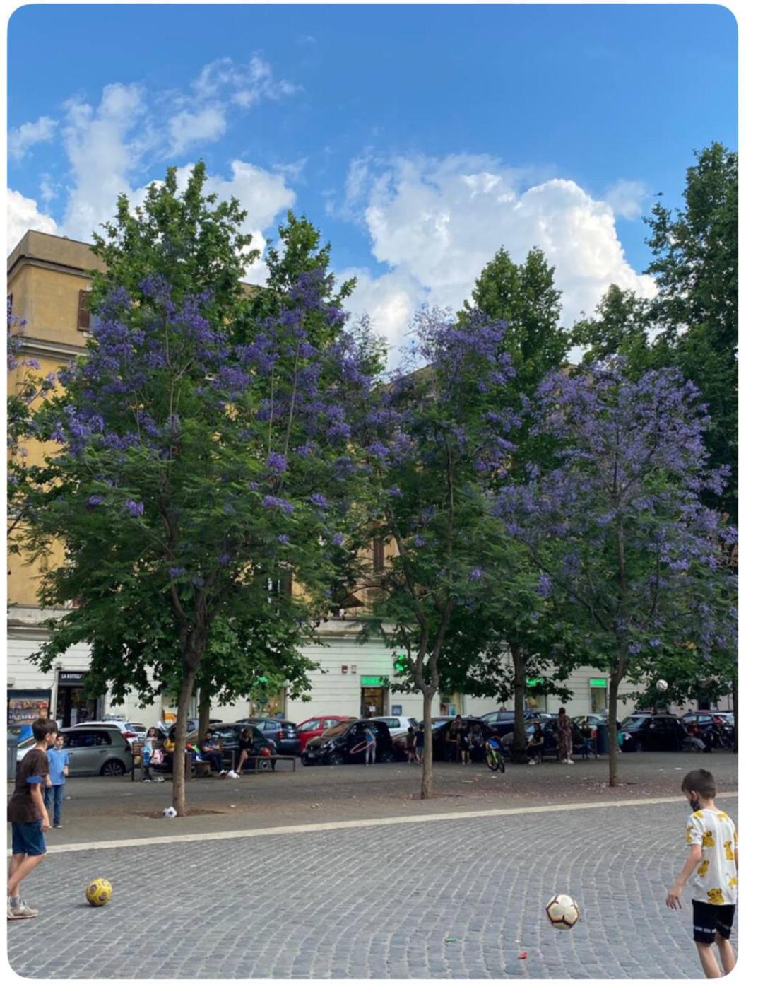 Testaccio Historic House Rome Exterior photo